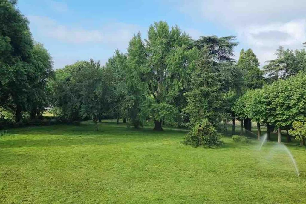 Chateau D'Issandou Golfech Buitenkant foto